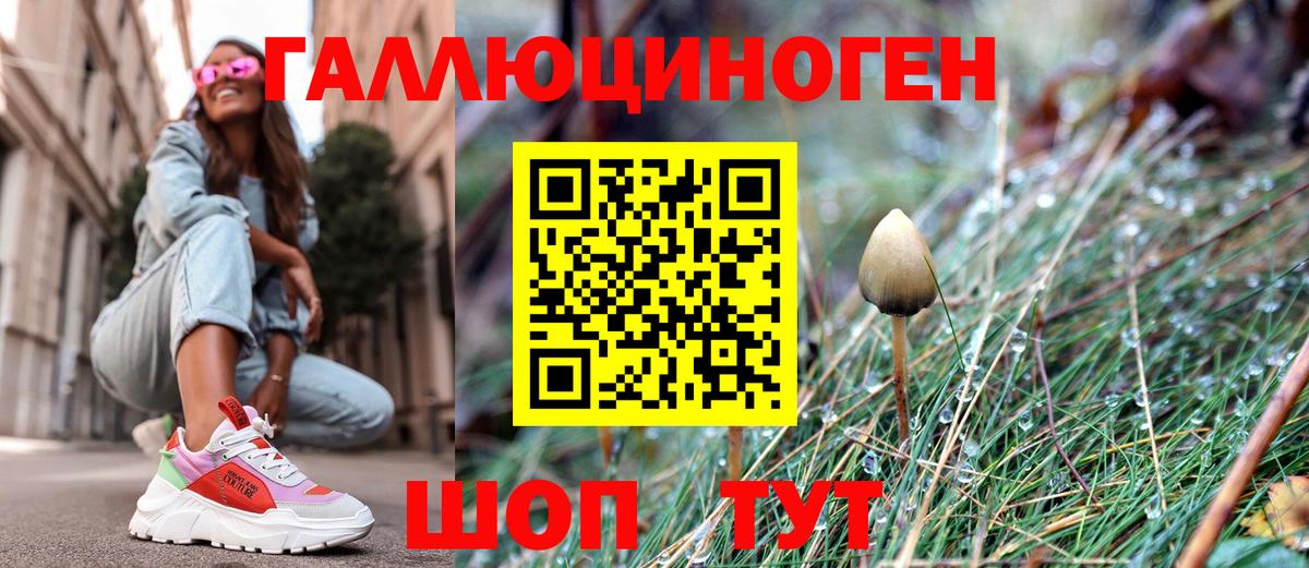 Псилоцибиновые грибы Psilocybe  Псилоцибиновые грибы Magic Shrooms  Вход с VPN  Новотроицк 