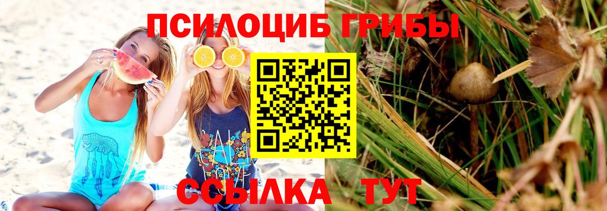Псилоцибиновые грибы MAGIC MUSHROOMS Новотроицк